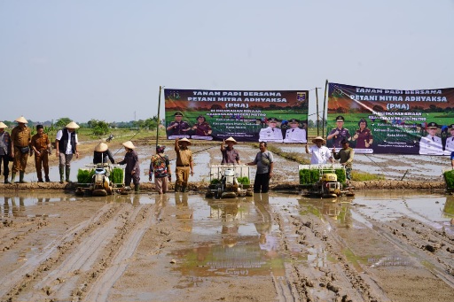Kajati Lampung Hadiri Tanam Padi Bersama Petani Mitra Adhyaksa Kota Metro