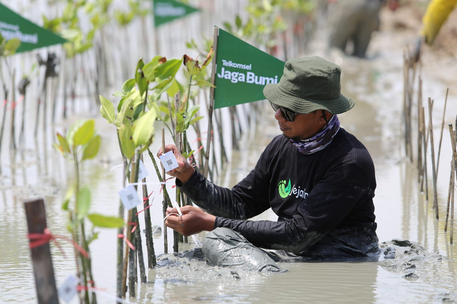 Telkomsel Jaga Bumi Kembali Tanam 10.600 Mangrove Hasil Donasi Poin Pelanggan