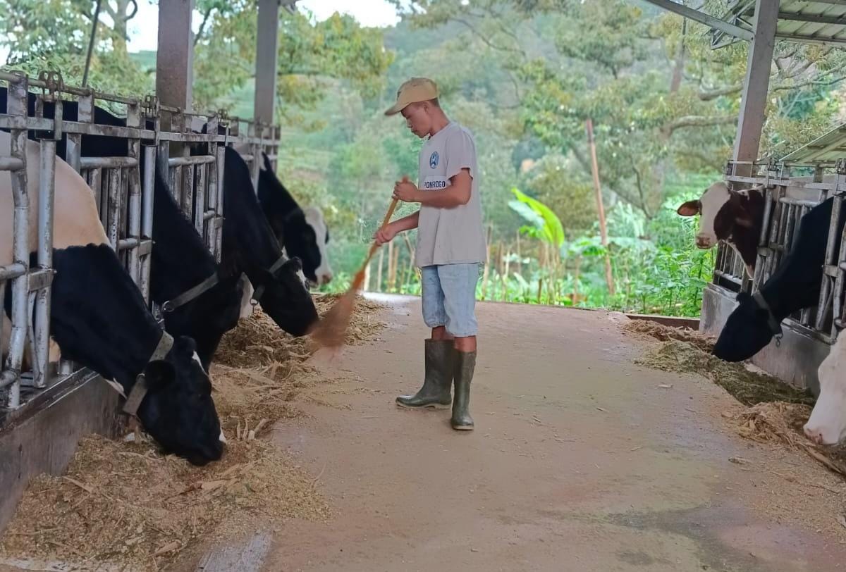 Dapatkan Fasilitas Pembiayaan dan Transaksi dari BRI, Klaster Susu di Ponorogo Berhasil Tingkatkan Produksi