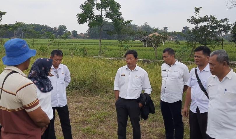 Dinas Pertanian Kota Metro Antisipasi Gagal Panen Imbas Sawah Kering