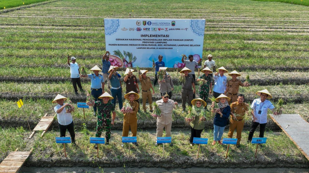 BI-Pemprov Lampung Panen Bawang Merah di Lampung Selatan