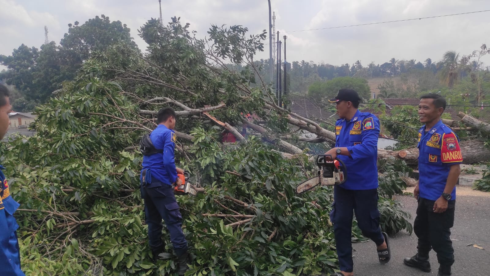 Damkar Sisir Pohon Rawan Tumbang di Komplek Pemkab Lamsel