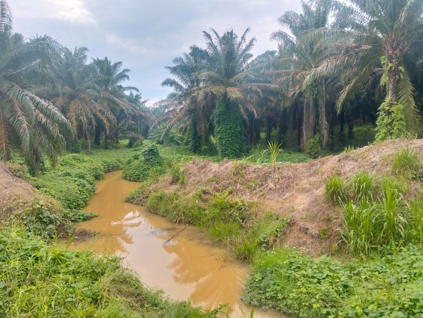PT. Kencana Acidindo Diduga 'Serobot' Sempadan Sungai dan Cemari Air, Warga Resah