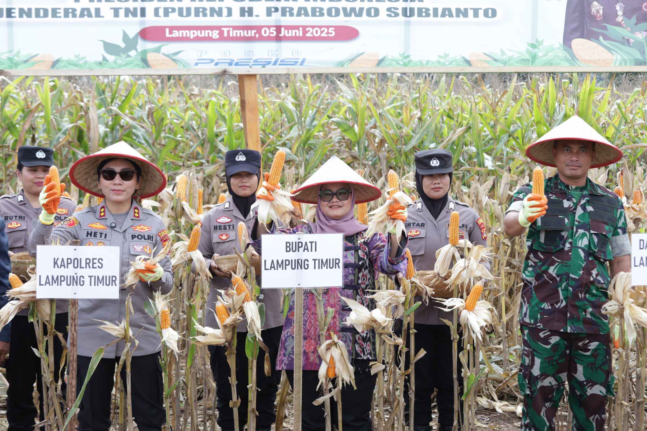 Panen Raya Jagung di Lamtim: Sinergi Nasional Wujudkan Swasembada Pangan