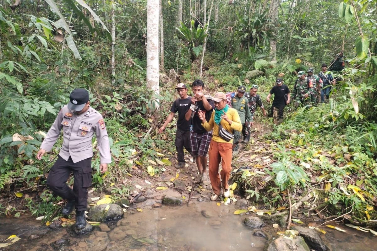 Warga Lampung Barat Kembali Jadi Korban Harimau, Ditemukan Tewas Mengenaskan