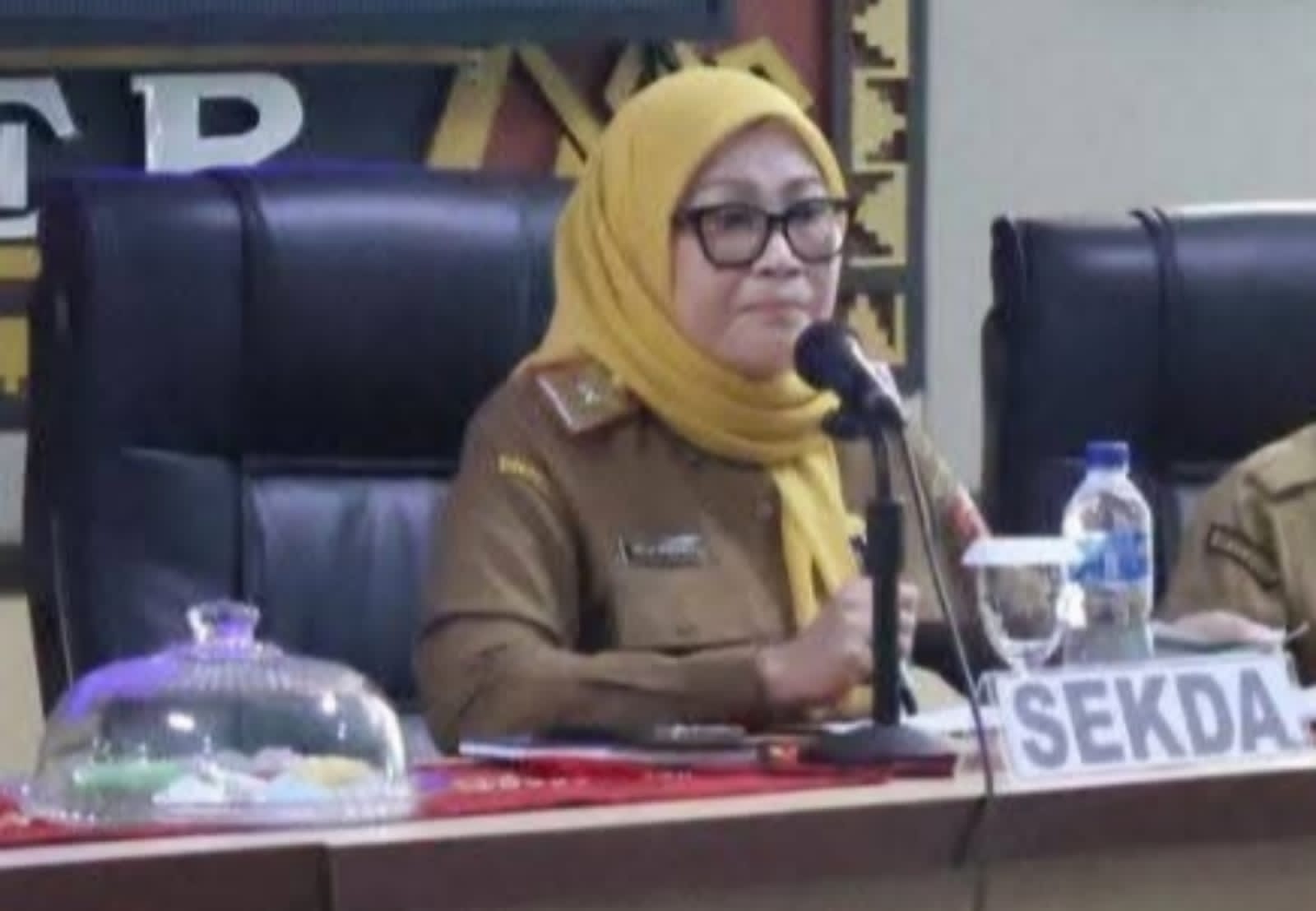 Kisruh Antrean MJKN di RS Ryacudu, Sekda Lampura Warning Management