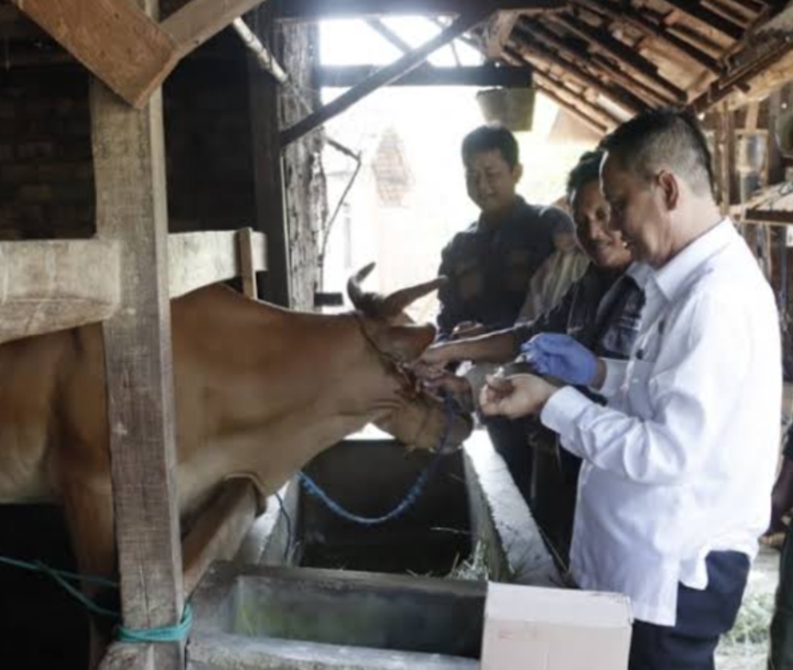 Ada 500 Dosis Vaksin Rabies di Dinas Perkebunan dan Peternakan Lampung Utara