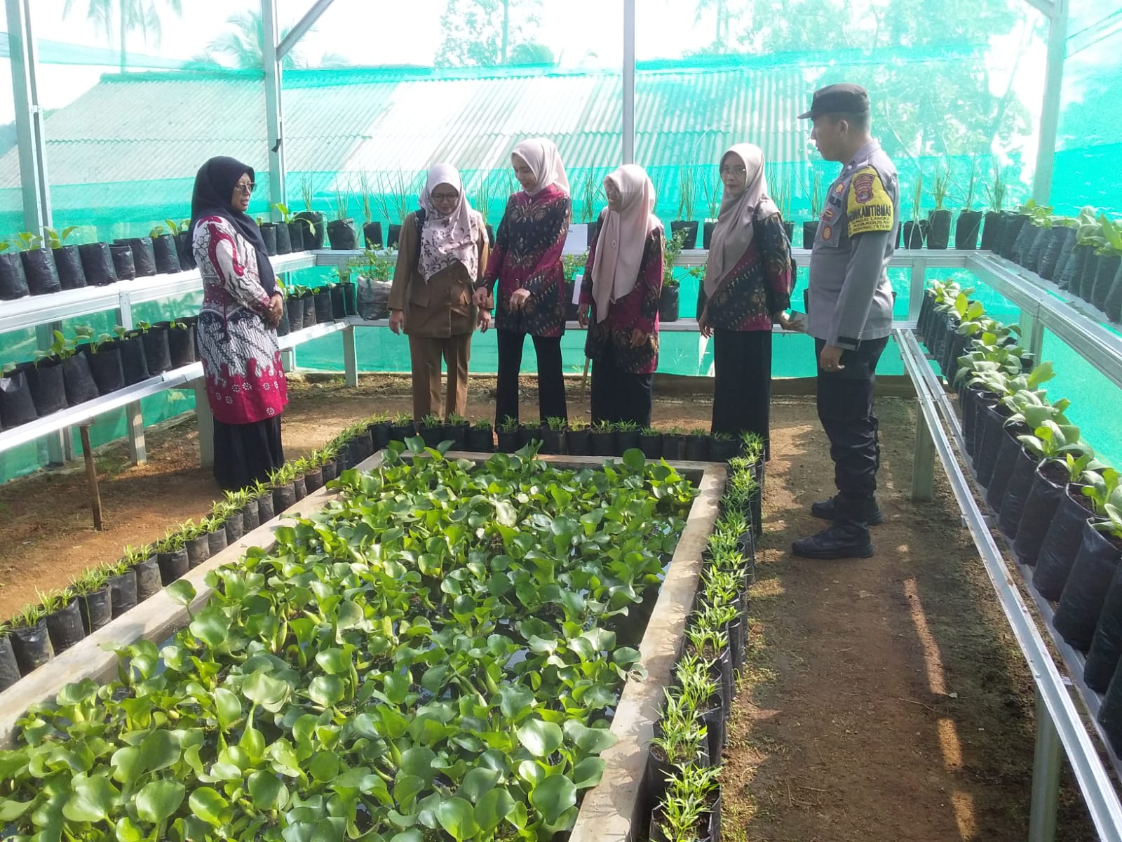 Dukung Program Ketahanan Pangan, Bhabinkamtibmas Polsek Gedong Tataan Kawal Penilaian Lomba KWT di Sungai Lang
