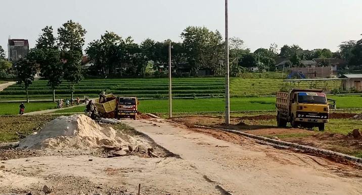 Sebagian Besar Sawah di Kota Metro Tidak Boleh Dibangun, Ini Penjelasannya