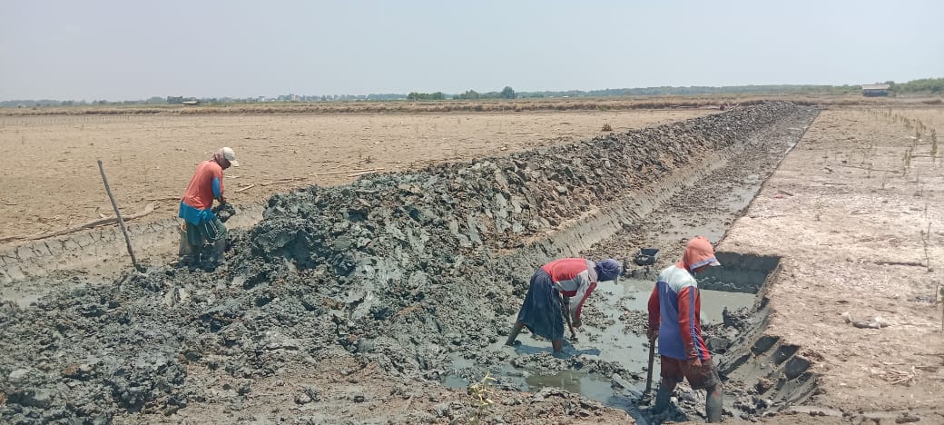 Abrasi Pantai Puluhan Hektare Tambak di Sragi Lamsel Jebol 