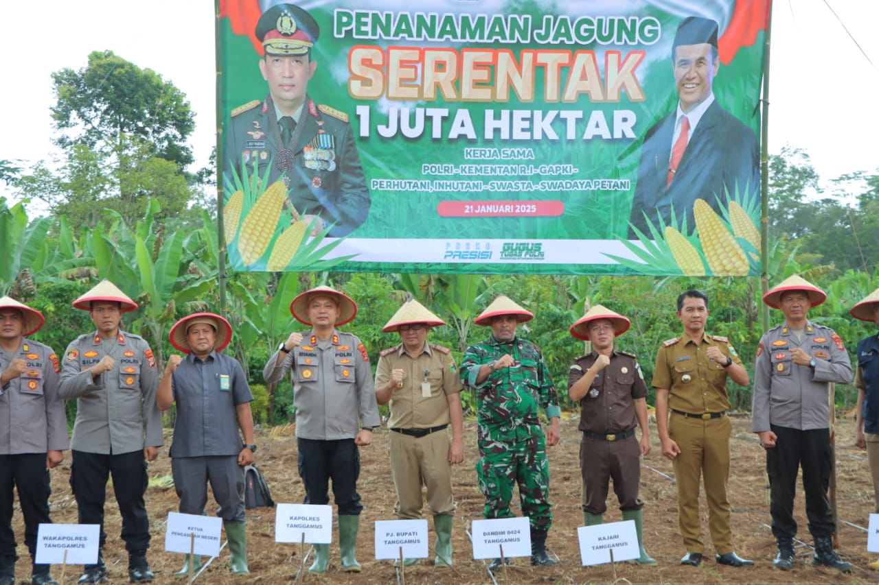 Polres Tanggamus Bersama Pemkab Tanam Jagung Serentak  di Lahan Seluas 1,5 Ha