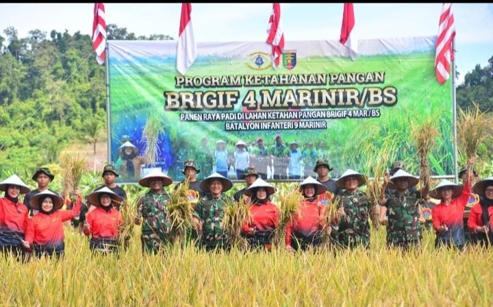 Wujud Nyata Dukung Ketahanan Pangan Nasional, Prajurit Yonif 9 Marinir Laksanakan Panen Raya Padi