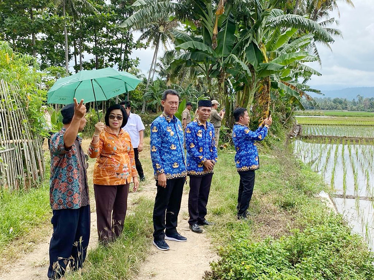 Potensi Pertanian Desa Kotajawa Wakhilau Pesawaran Dikunjungi Wabup Gunung Mas Kalteng