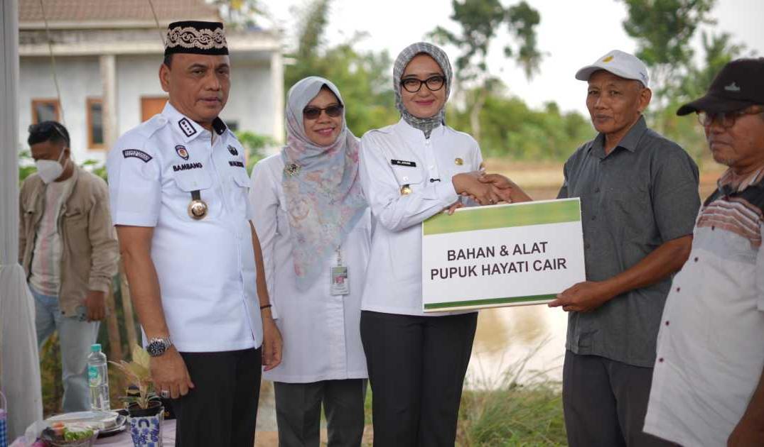 Wali Kota Metro Targetkan Produktivitas Padi 10 Ton per Hektare Lewat Sistem PM-AAS
