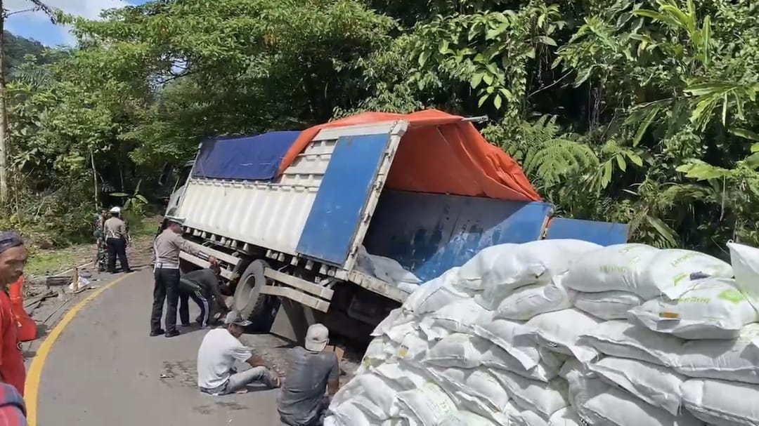 Mobil Bermuatan Gandum Terperosok di Jalan Lintas Liwa-Krui Sebabkan Macet Berjam-jam