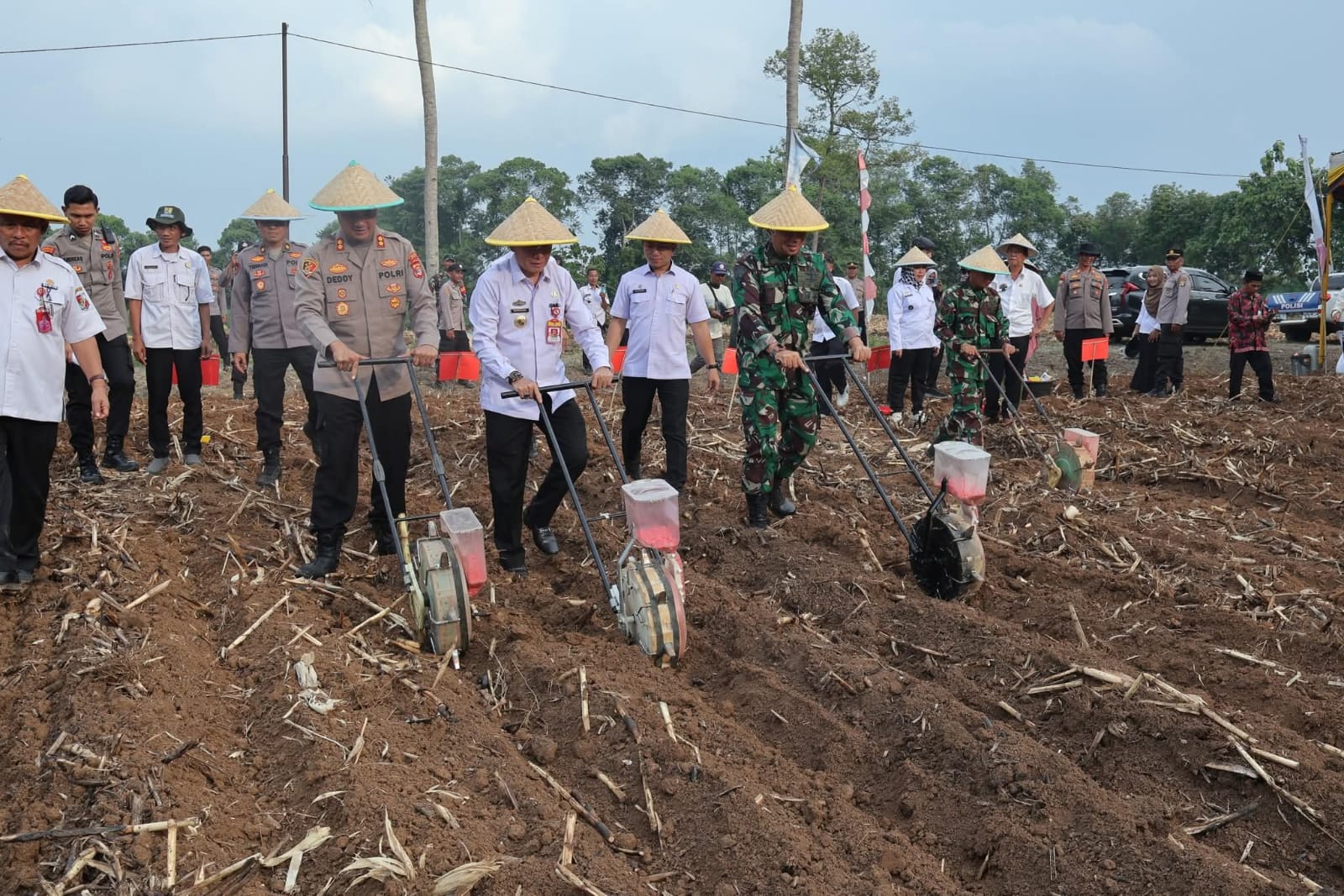 Bupati Lampura Diwakili Asisten I Hadiri Penanaman Jagung Serentak