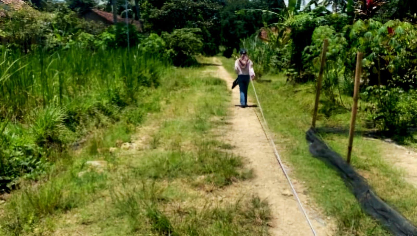 100 Hari Kerja Mirza-Jihan, Pemprov Lampung Bangun Konektivitas dan Infrastruktur Pertanian