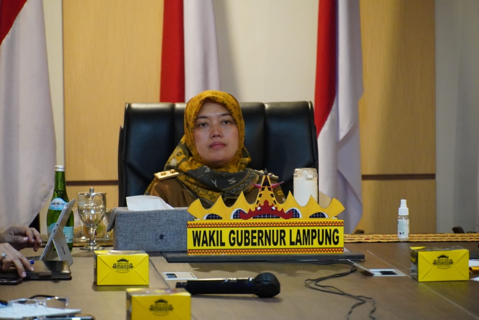 Wagub Chusnunia Ikuti Rakor Pengendalian Inflasi Daerah Bersama Menteri Dalam Negeri