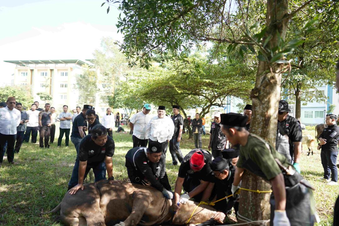 UIN Raden Intan Lampung Sembelih 12 Sapi dan 7 Kambing pada Idul Adha 1447 H