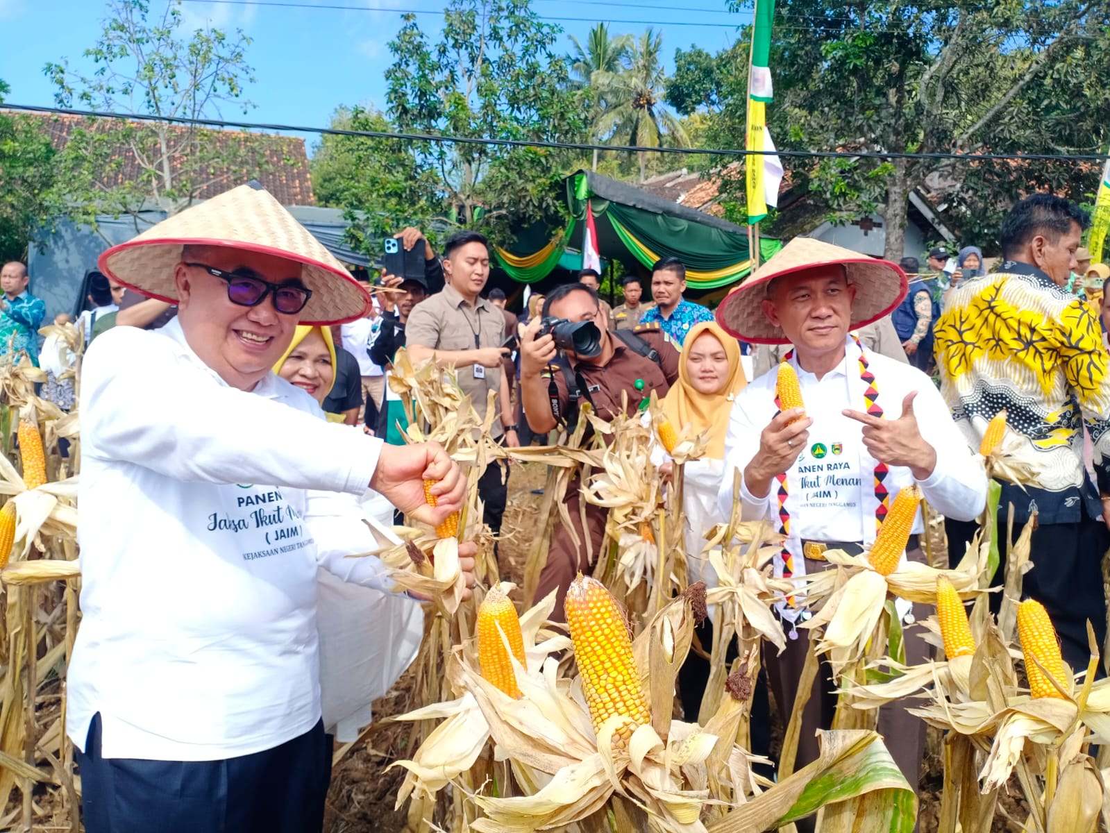 Kajati Lampung Panen Jagung di Gisting Bersama Bupati Tanggamus dan Forkopimda
