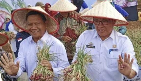 Lahan Tanam Bawang Merah di Kota Metro Bakal Diperluas