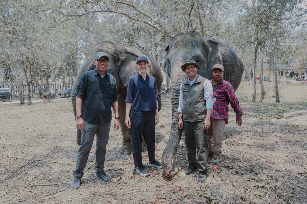 Menhut Tinjau Mitigasi Konflik Gajah di Way Kambas, Pemprov Lampung Dorong Perlindungan Warga dan Satwa