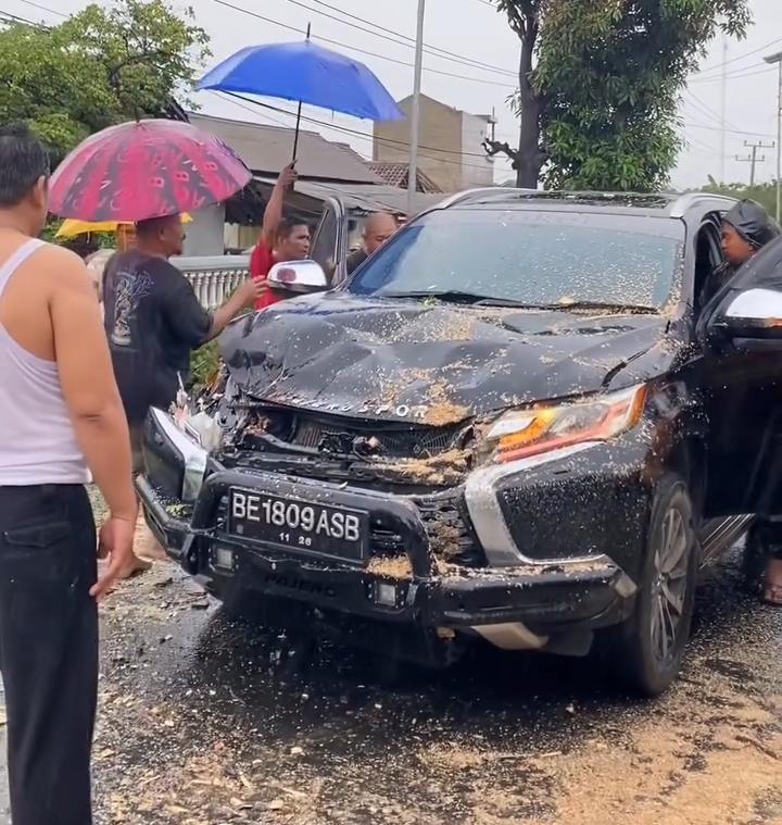Angin Kencang, Pohon Mahoni Tumbang Timpa Pajero Sport di Gadingrejo Pringsewu