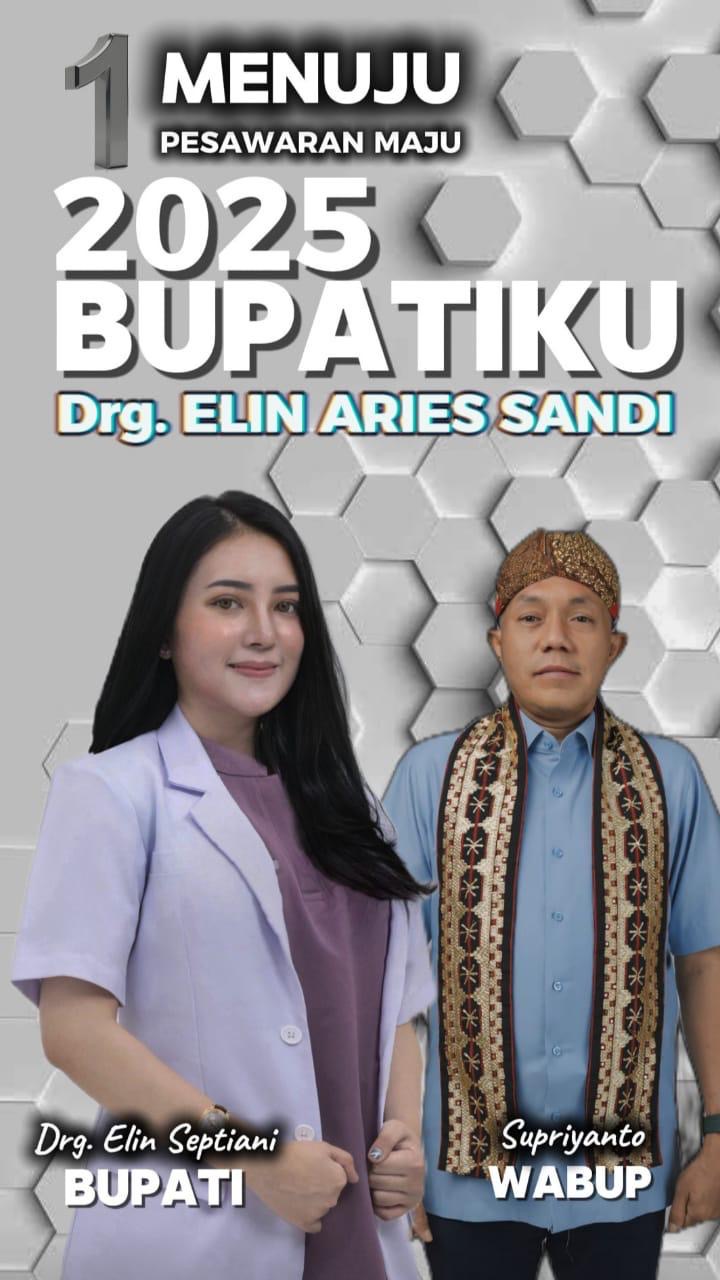 Drg Elin Aries Sandi-Supriyanto Sudah Kantongi Rekom dari DPP Demokrat