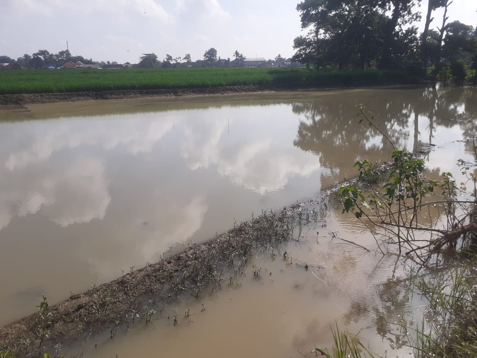 Provinsi Bungkam, Petani Korban Banjir Sasar Kota Metro
