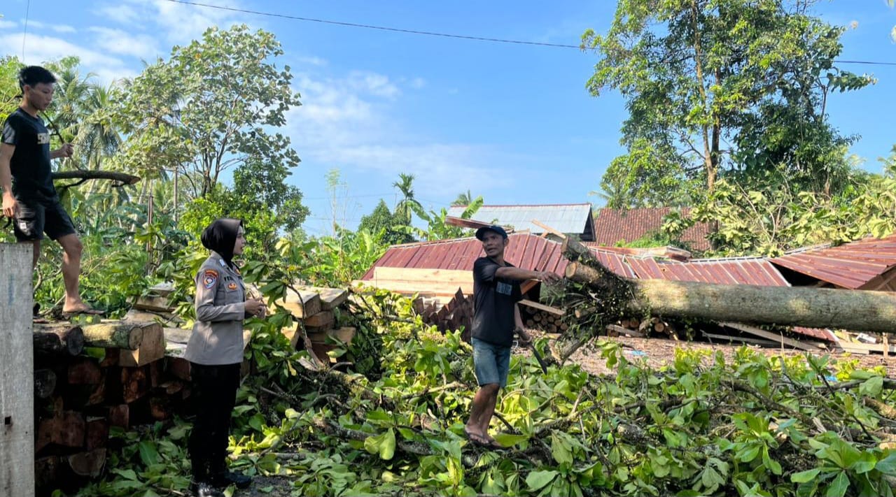 Puting Beliung Terjang Banyu Urip Wonosobo, 13 Bangunan Rusak, Satu Pohon Tumbang