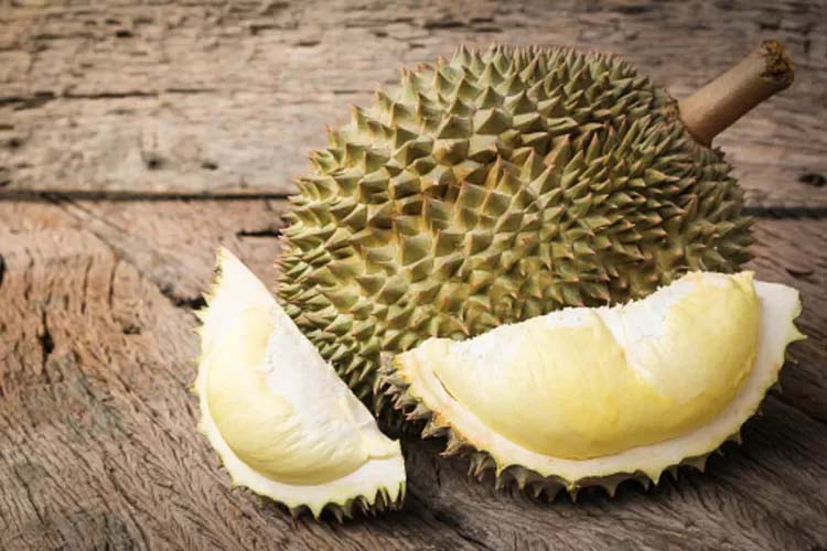  Mengenal Buah  Durian Mitos dan Fakta