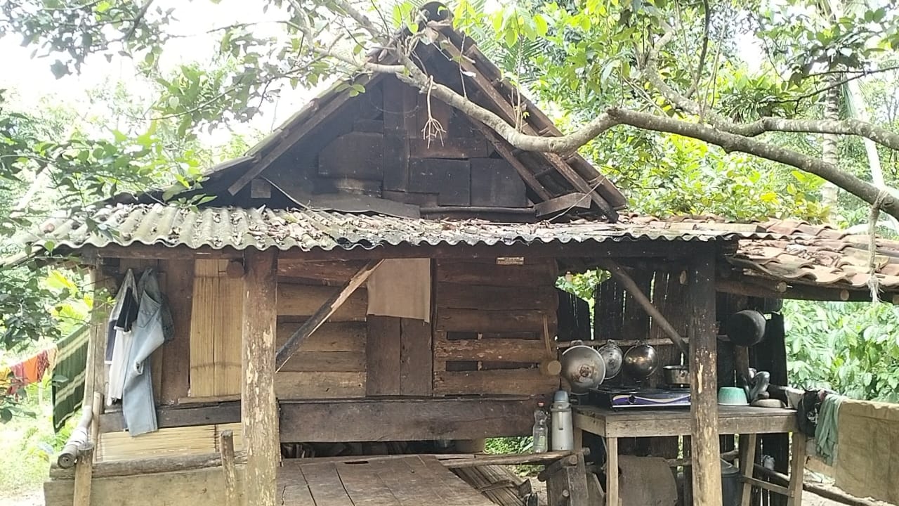 Gubuk Reyot Kandang Kambing Jadi Bukti Kemiskinan Ekstrem di Bumi Ragem Tunas Lampung