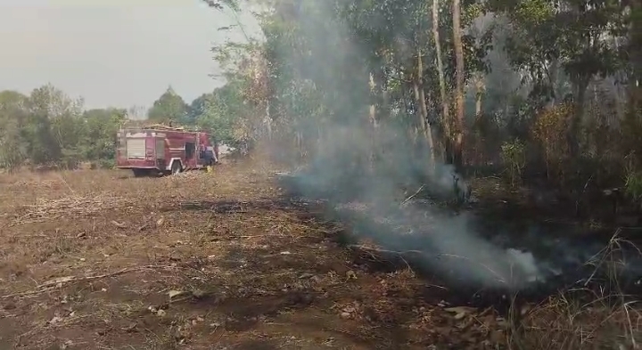 Kesekian Kalinya Lahan Kebun Warga Lampura Terbakar