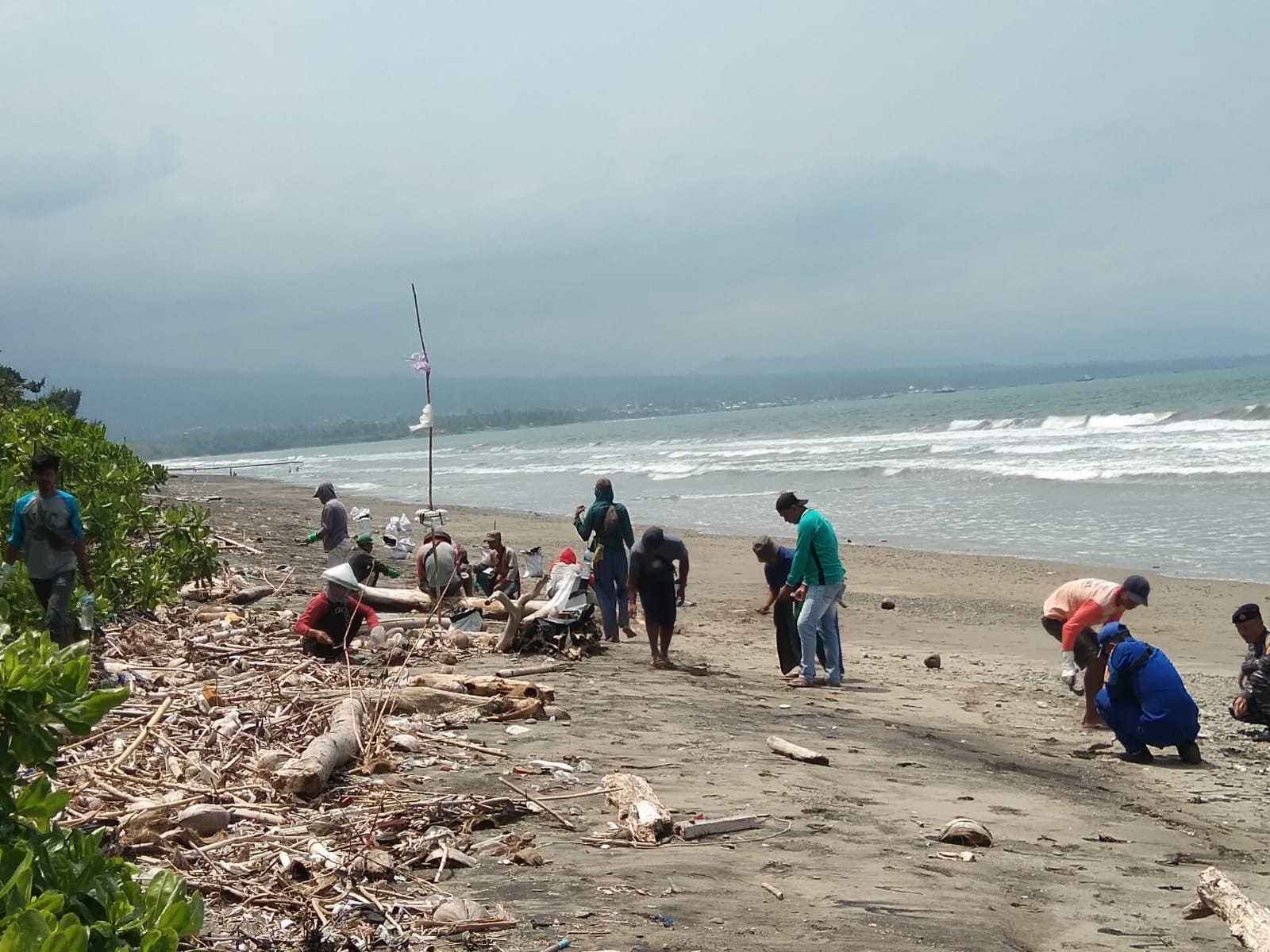 Setelah Pantai di Lamsel tercemar Limbah Hitam, Pantai di Pesisir Tanggamus Juga Ditemukan Serupa 