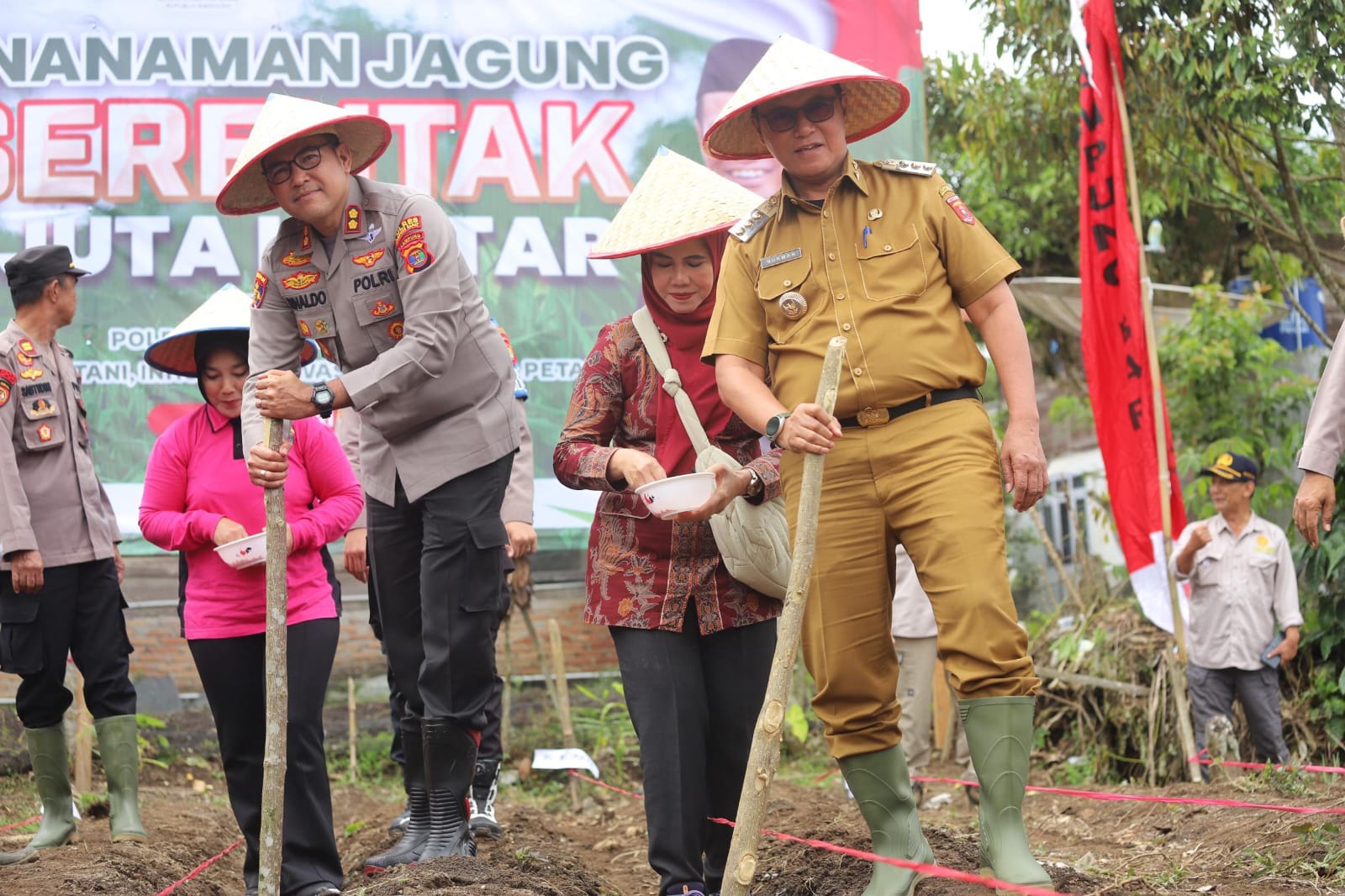 Dukung Program Swasembada Pangan, Polres Lambar dan Pemkab Tanam Jagung di Lahan Seluas 41,5 Hektar