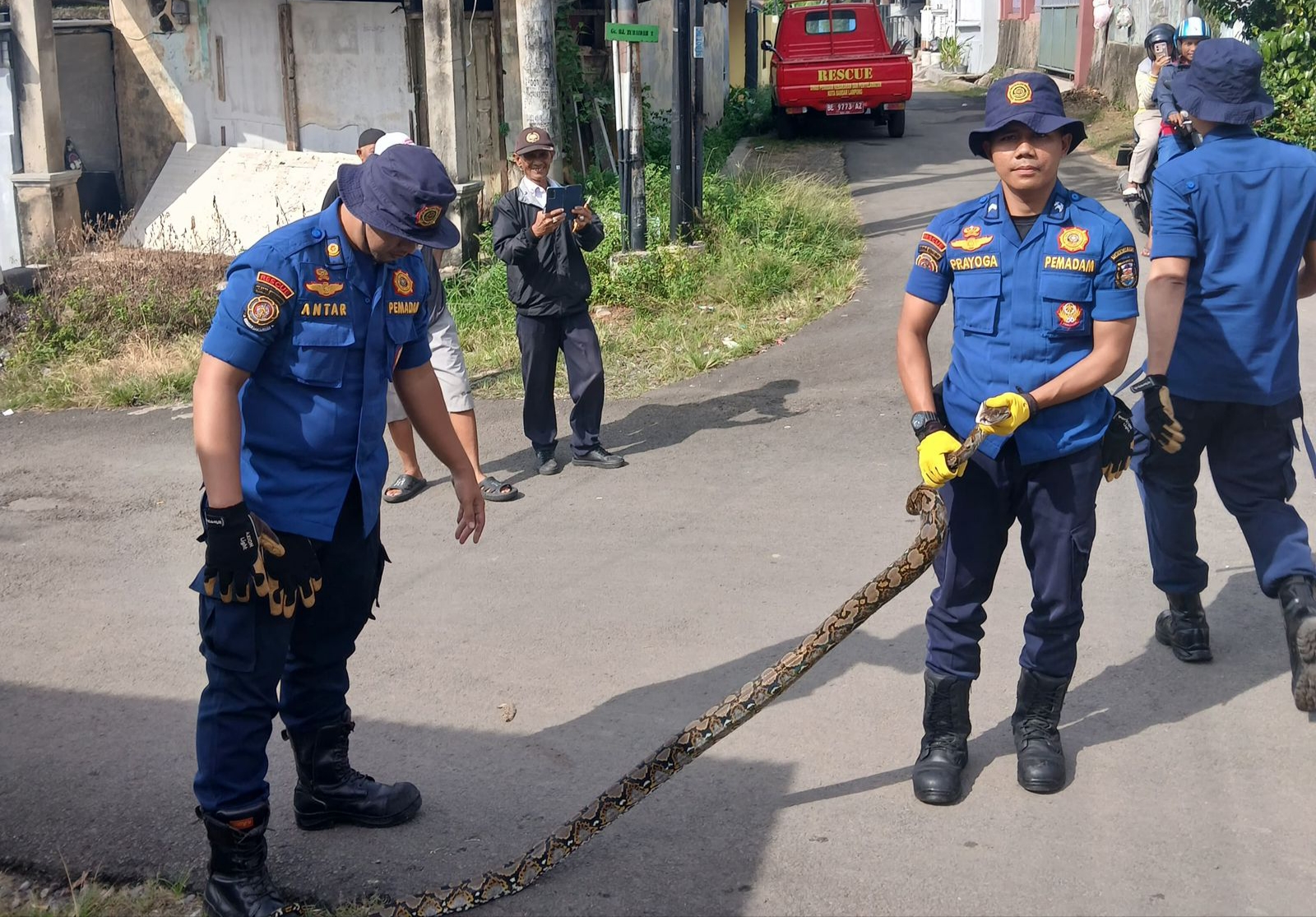 Damkarmat Bandar Lampung Evakuasi Ular hingga Anak Tersesat Selama Libur Idul Fitri