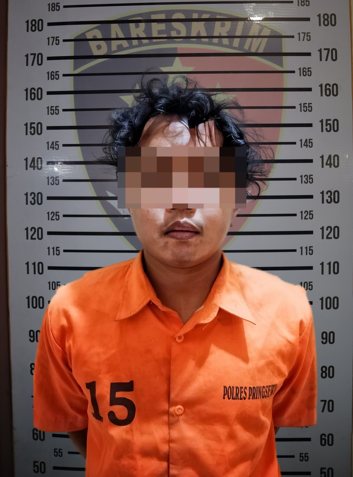 Warga Teluk Betung Jadi Korban Pemerkosaan dan Perampokan di Perkebunan Pekon Sidoharjo Pringsewu