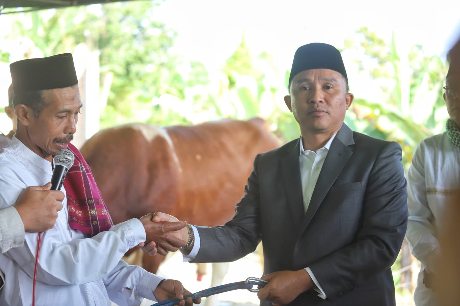 Hewan Kurban Presiden Diambil dari Peternak Lokal, Parosil Harap Jadi Inspirasi Bagi Peternak Lambar