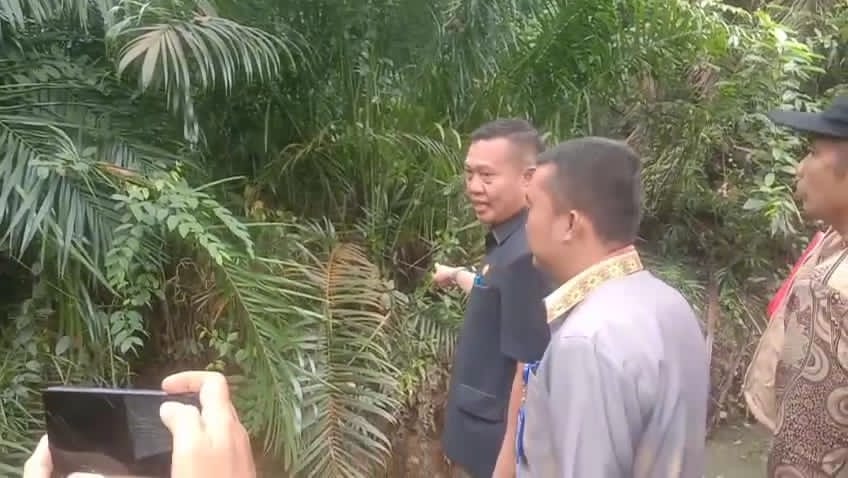 Terbukti Melanggar, PT.KAP Tanam Sawit Dekat Sungai, DPRD Siap Tindak