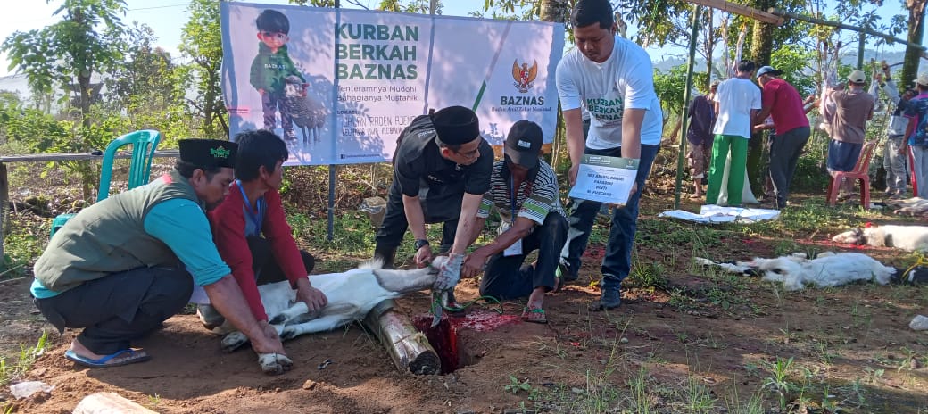 Pj Bupati Lampung Barat Apresiasi Program Qurban Berkah Baznas (KBB)