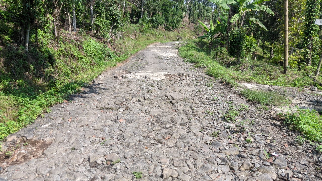 Jalan Lama Rusak Parah, Masyarakat Pekon Ujung Minta Perbaikan