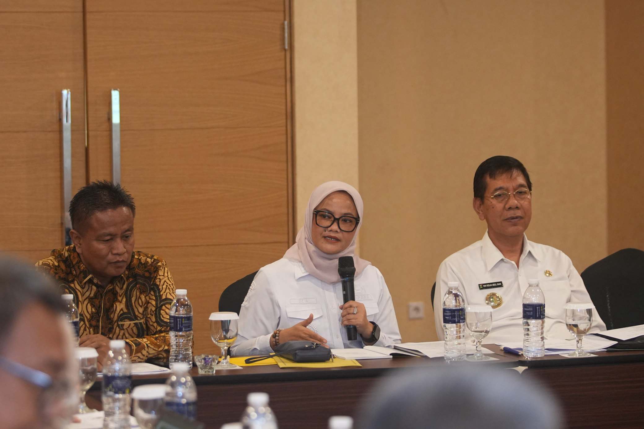 Lampung Timur Luncurkan Road Map Ekonomi Desa Penyangga Way Kambas