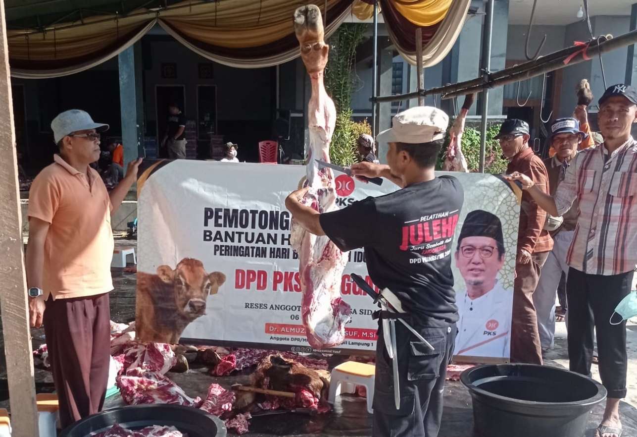 Idul Adha 1446 H, PKS Tanggamus Sembelih 5 Sapi dan 2 Kambing