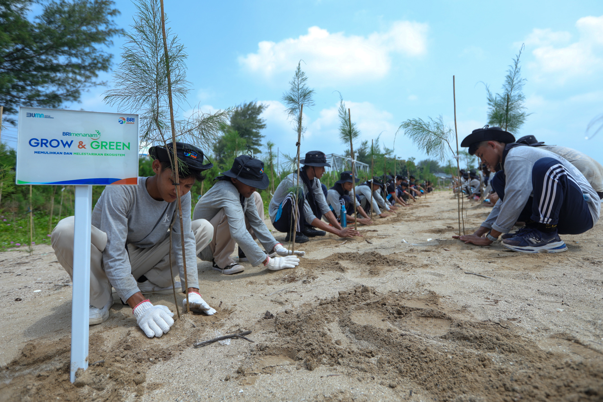 Peringati Hari Lingkungan Hidup Sedunia, BRI Pertegas Komitmen dalam Menjaga Ekosistem Lingkungan melalui BRI