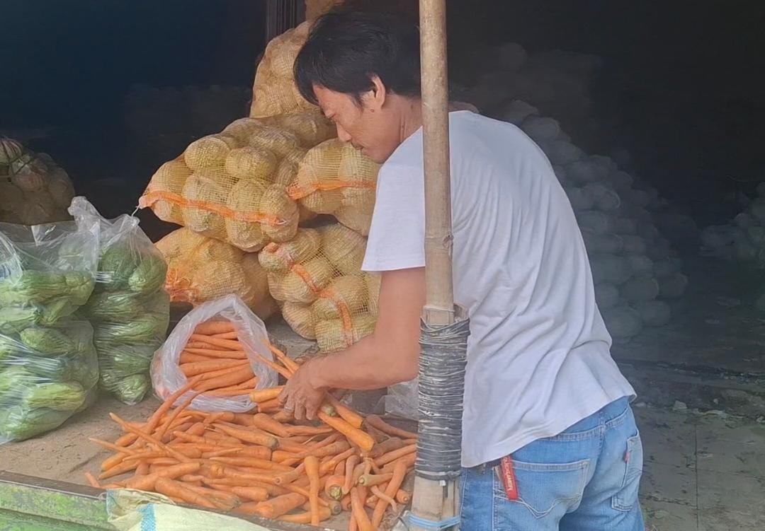 Harga Wortel di Kota Metro Meroket, Penjualan Turun Drastis