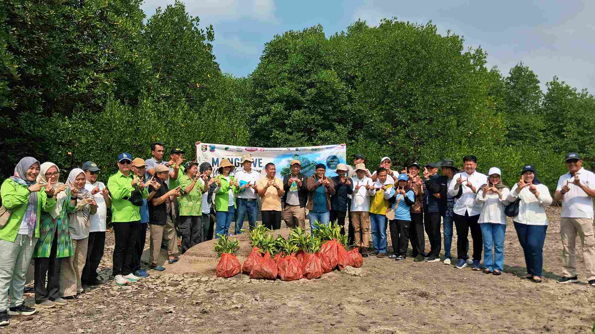 Gotong Royong Hijau, Forum CSR Lampung Tanam 4.000 Mangrove