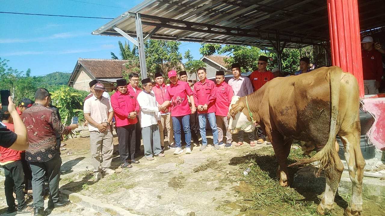 DPC PDI Perjuangan Lambar Serahkan Bantuan Hewan Kurban di Pekon Sidodadi Kecamatan Air Hitam