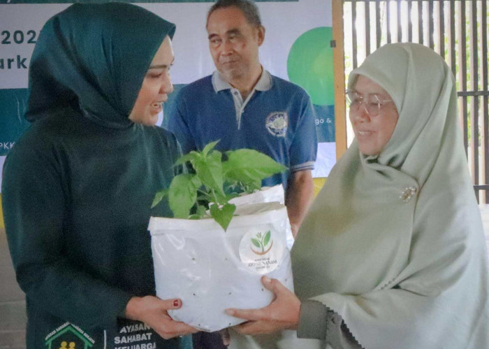 TP PKK Provinsi Lampung Dorong Pemanfaatan Pekarangan Rumah untuk Ketahanan Pangan Keluarga