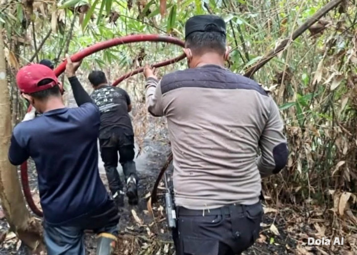 Karhutla 458 Hektare Mengancam Kawasan Bukit Soeharto di Sekitar IKN