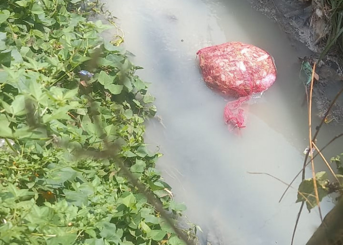 Warga Bukit Kemuning Kembali Keluhkan Limbah Tahu-Tempe Tak Kunjung Teratasi.